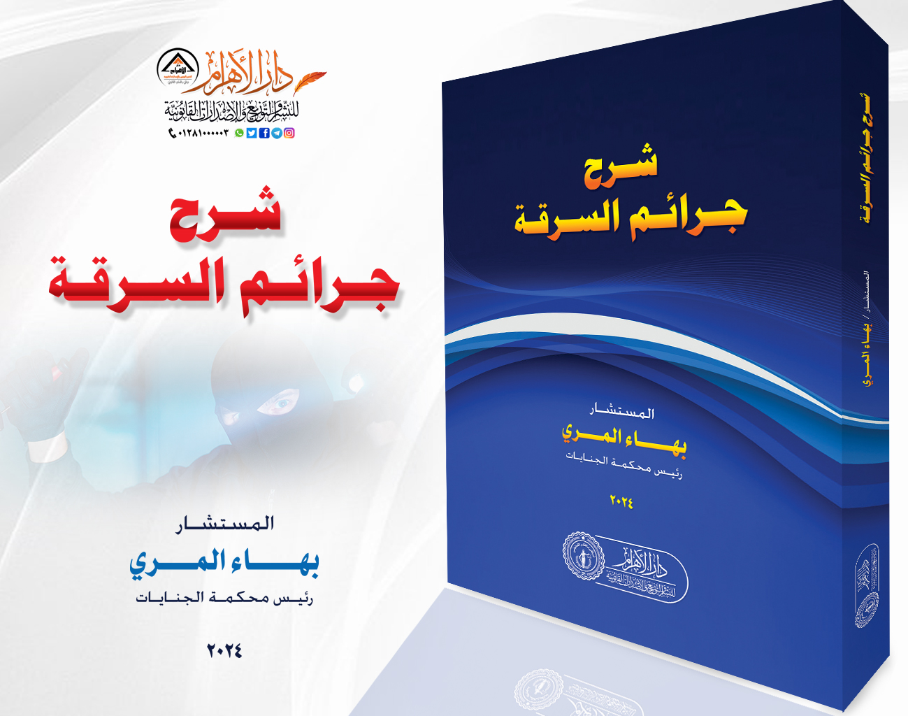 شرح جرائم السرقة