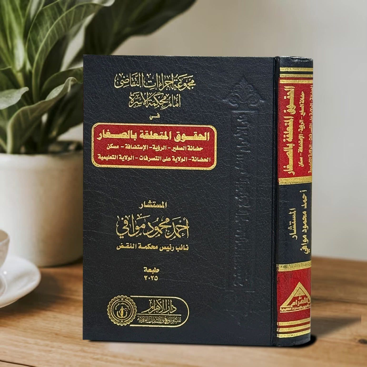 مجموعة إجراءات التقاضي أمام محكمة الأسرة /الحقوق المتعلقة بالصغار