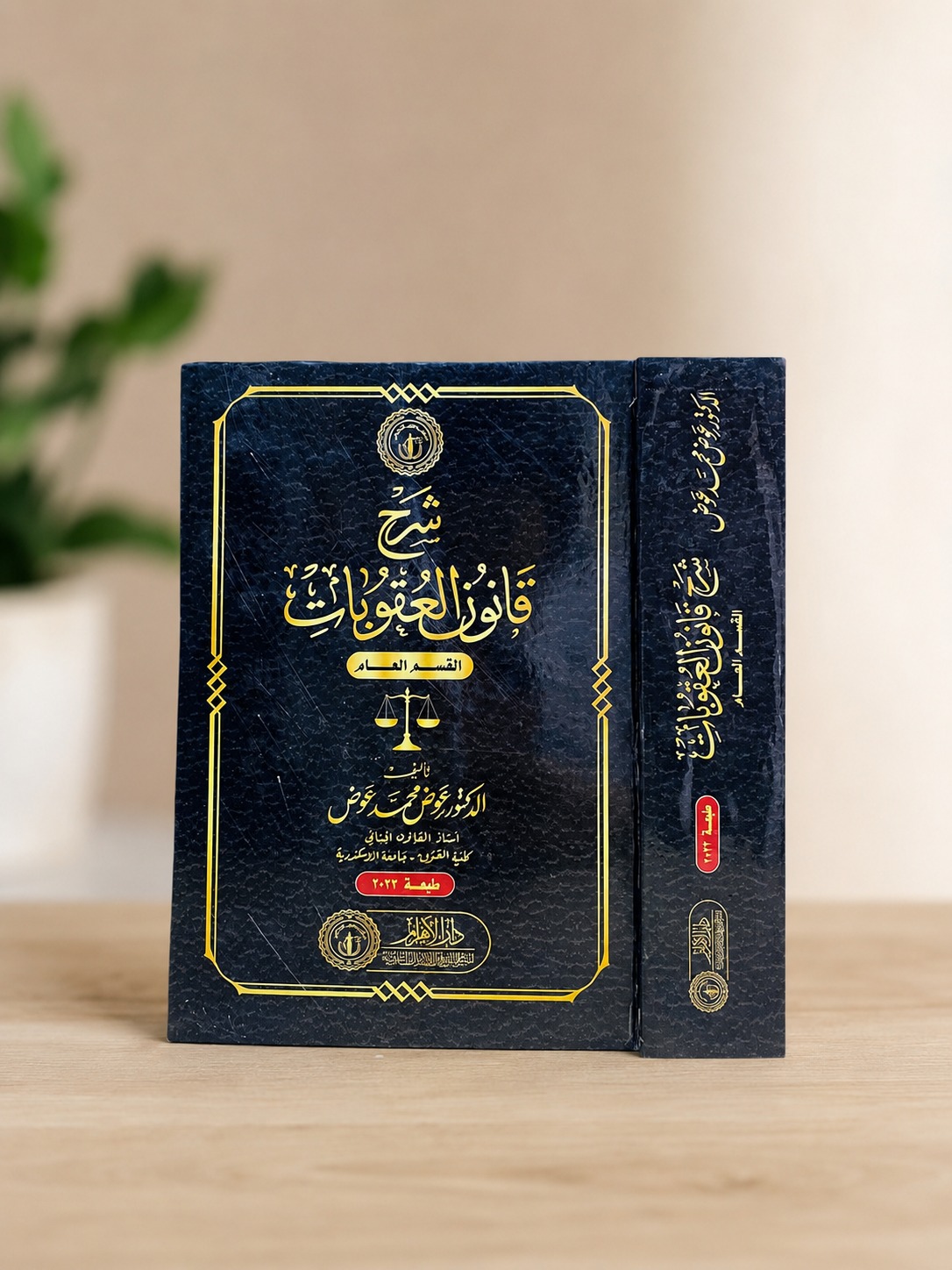 شرح قانون العقوبات - القسم العام